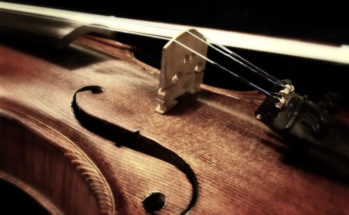 ヴァイオリンに使われるスプルース(松)の表面板