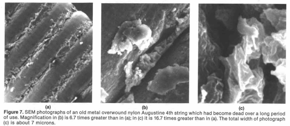 使い古したオーガスチンレッドの4弦を走査型顕微鏡で撮影した画像